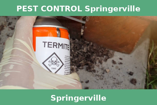 PEST CONTROL Springerville